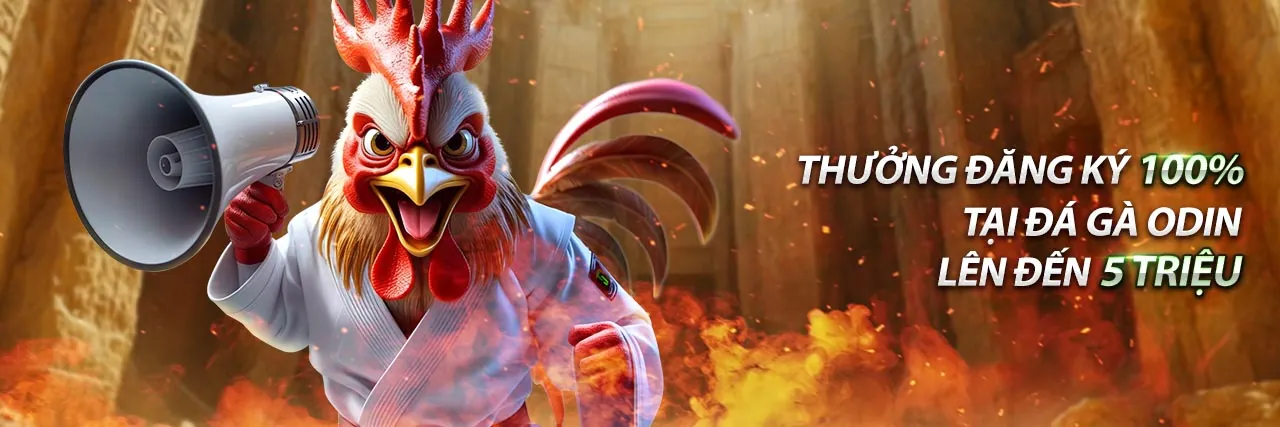 Hình ảnh chính về hướng dẫn cá cược thể thao VB777 chính thức