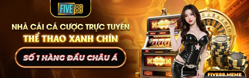 Tuân thủ các điều kiện và quy định của VB777